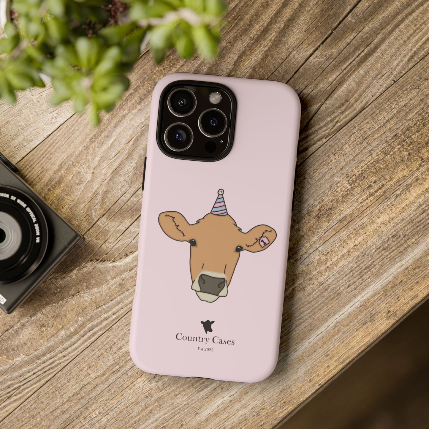 Pink Birthday Case