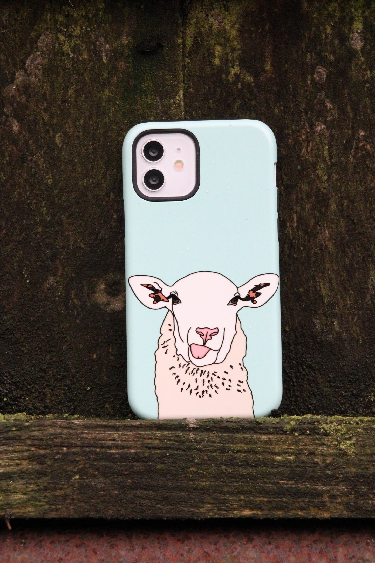 Silly sheep case