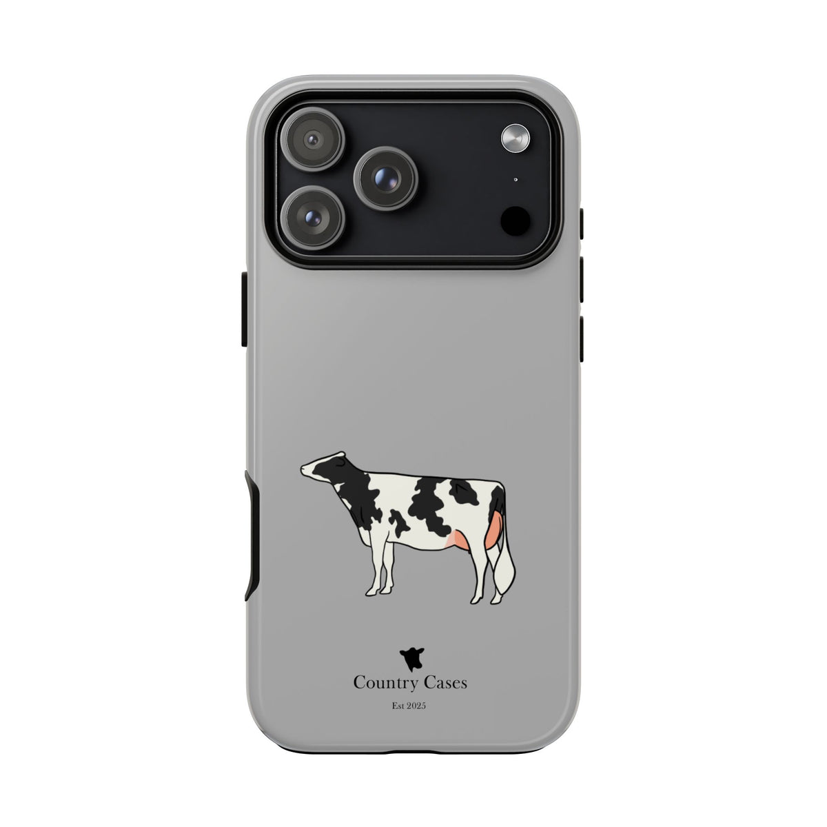 Black Holstein Case