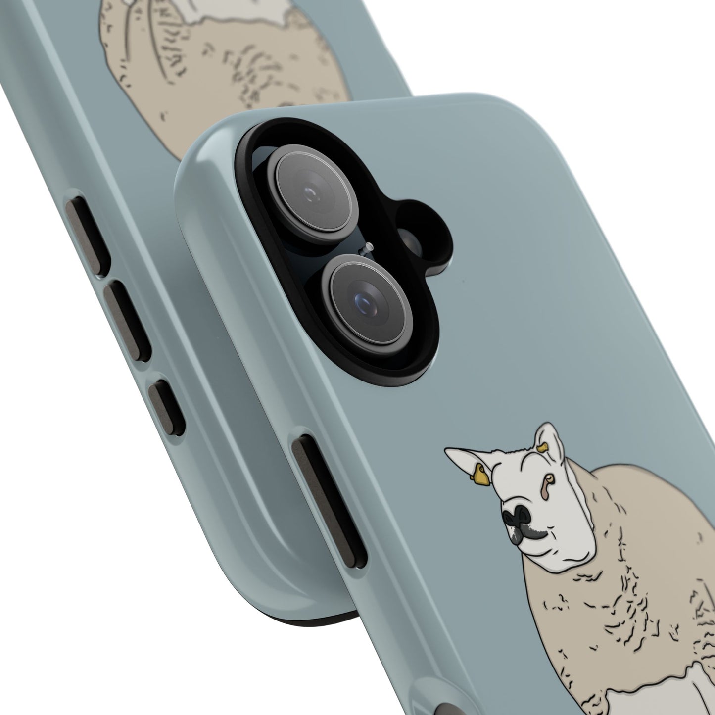 Shepherd Beltex Case