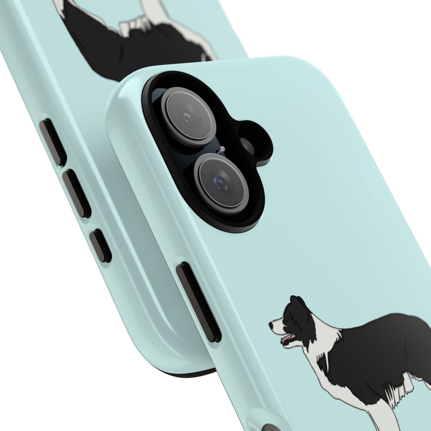 Collie case