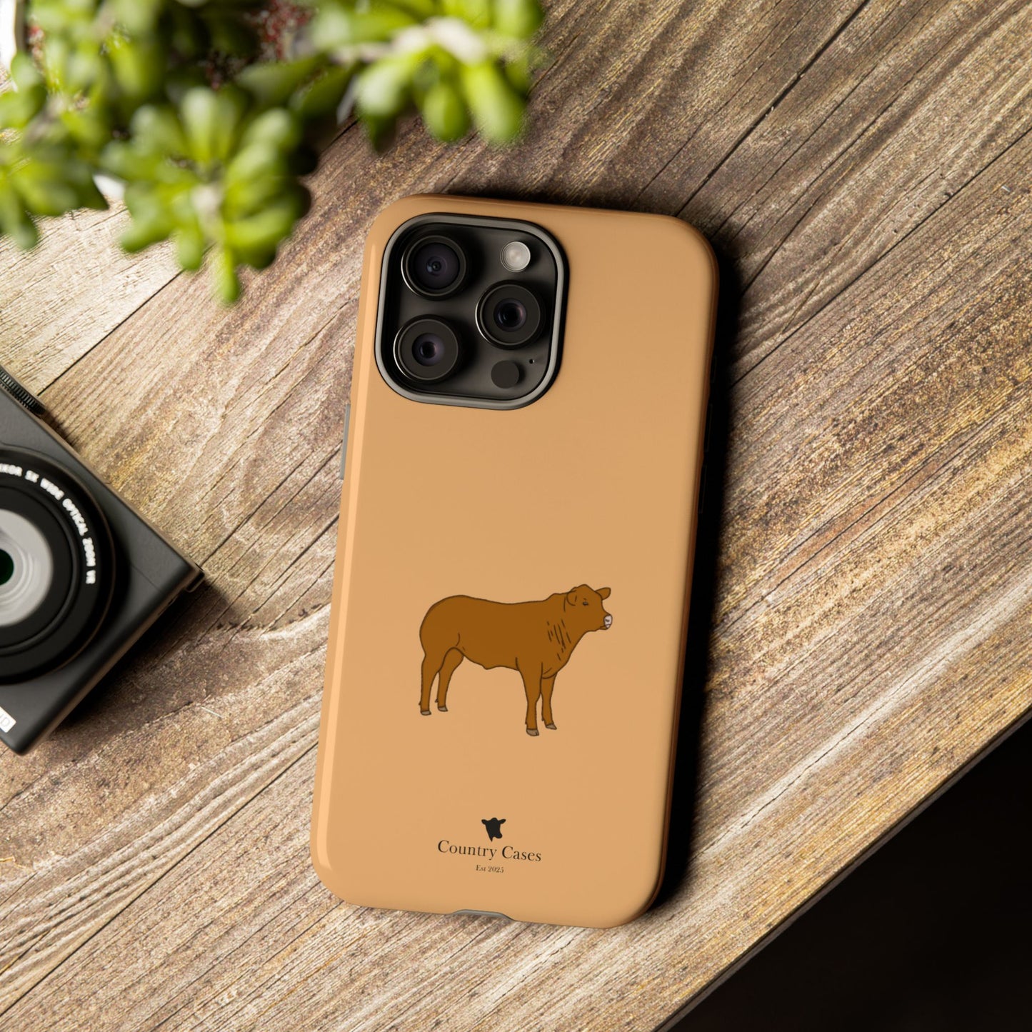 Beef Cow Case