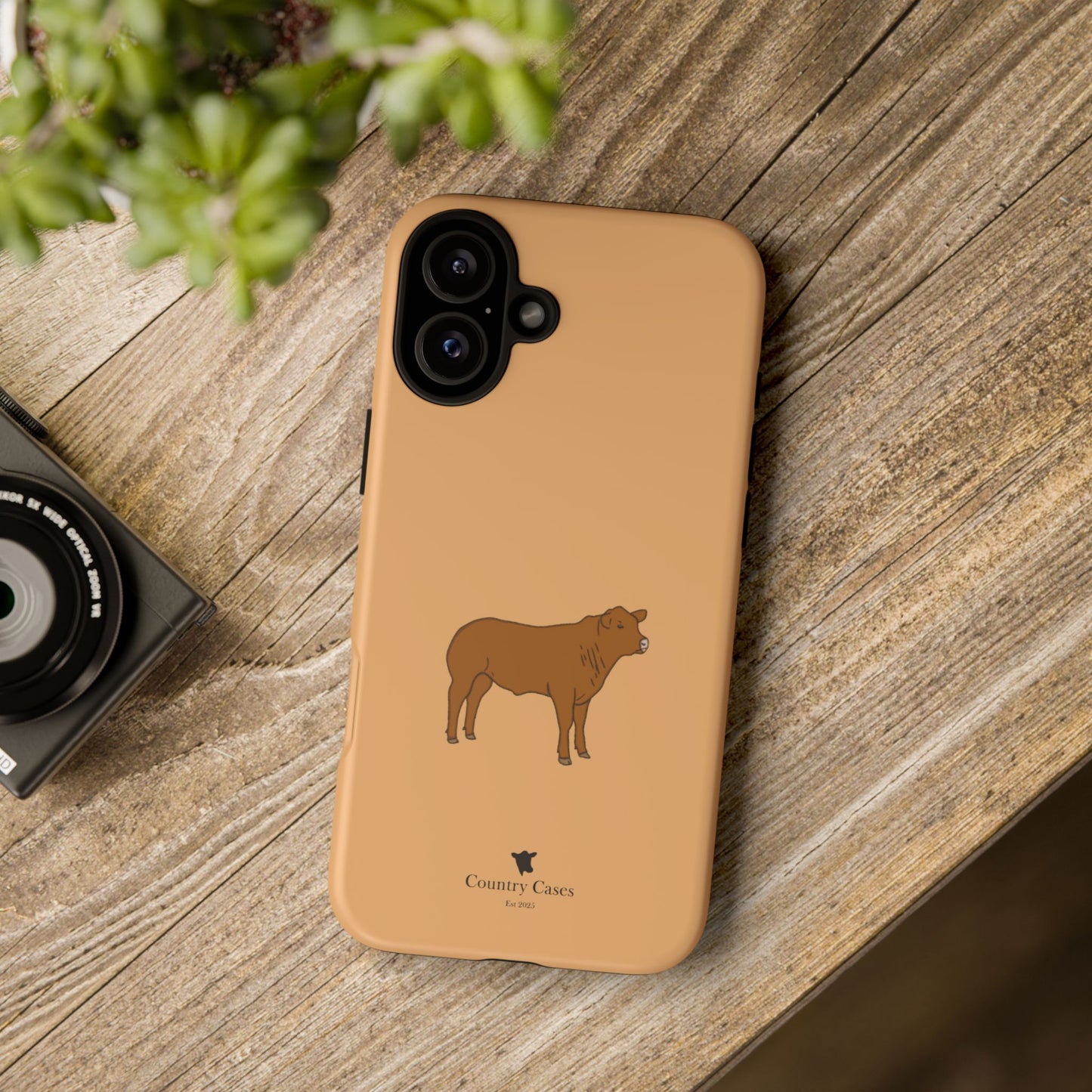 Beef Cow Case