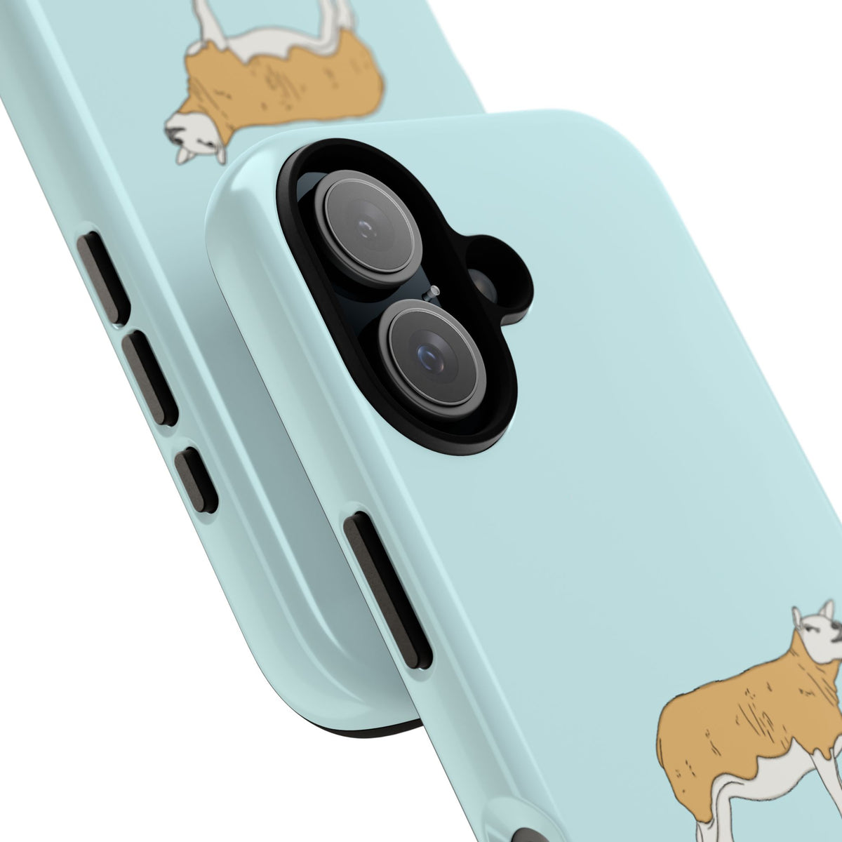 Texal Case