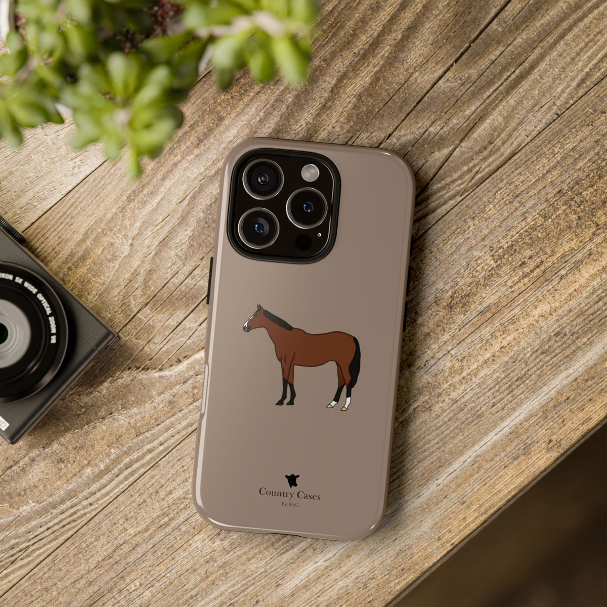 Bay Horse Case