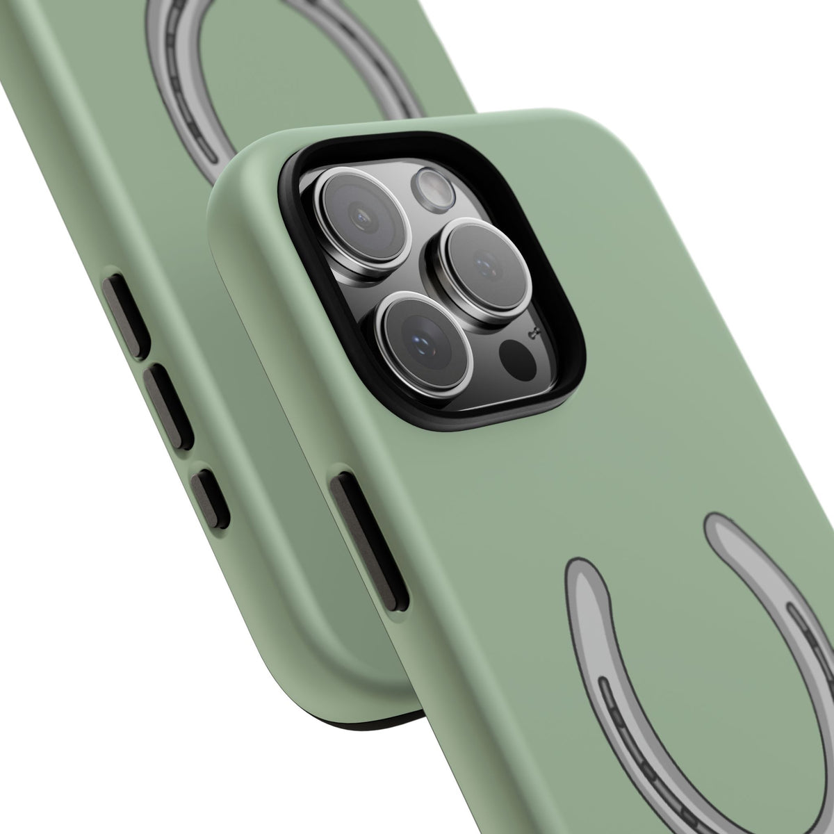 Horse Shoe Case