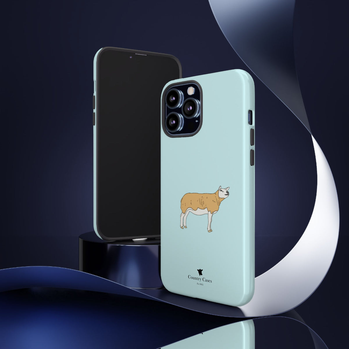 Texal Case