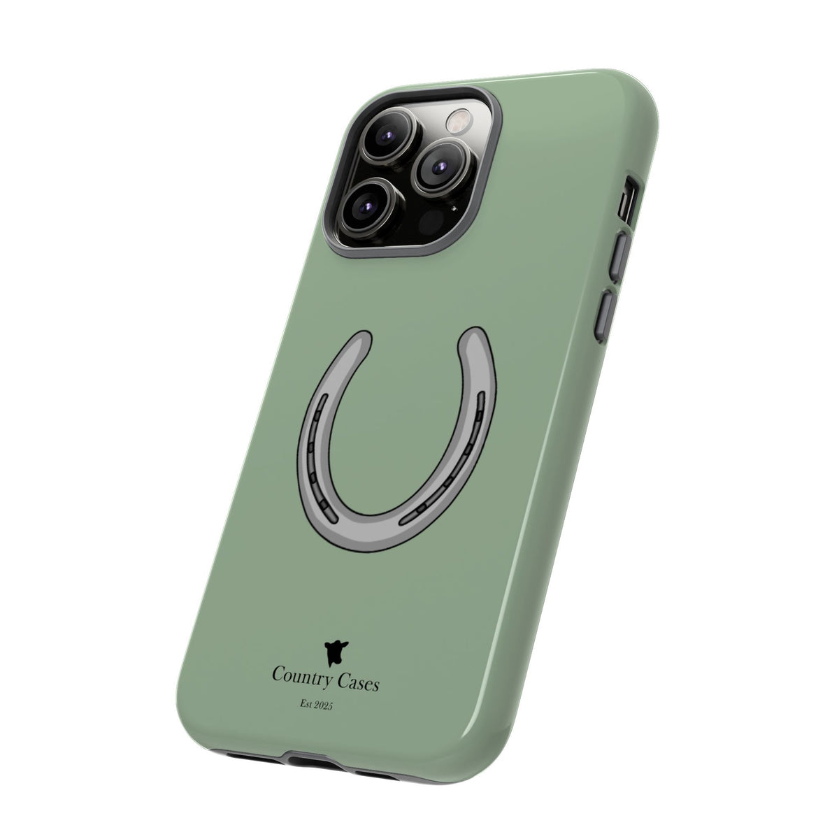 Horse Shoe Case