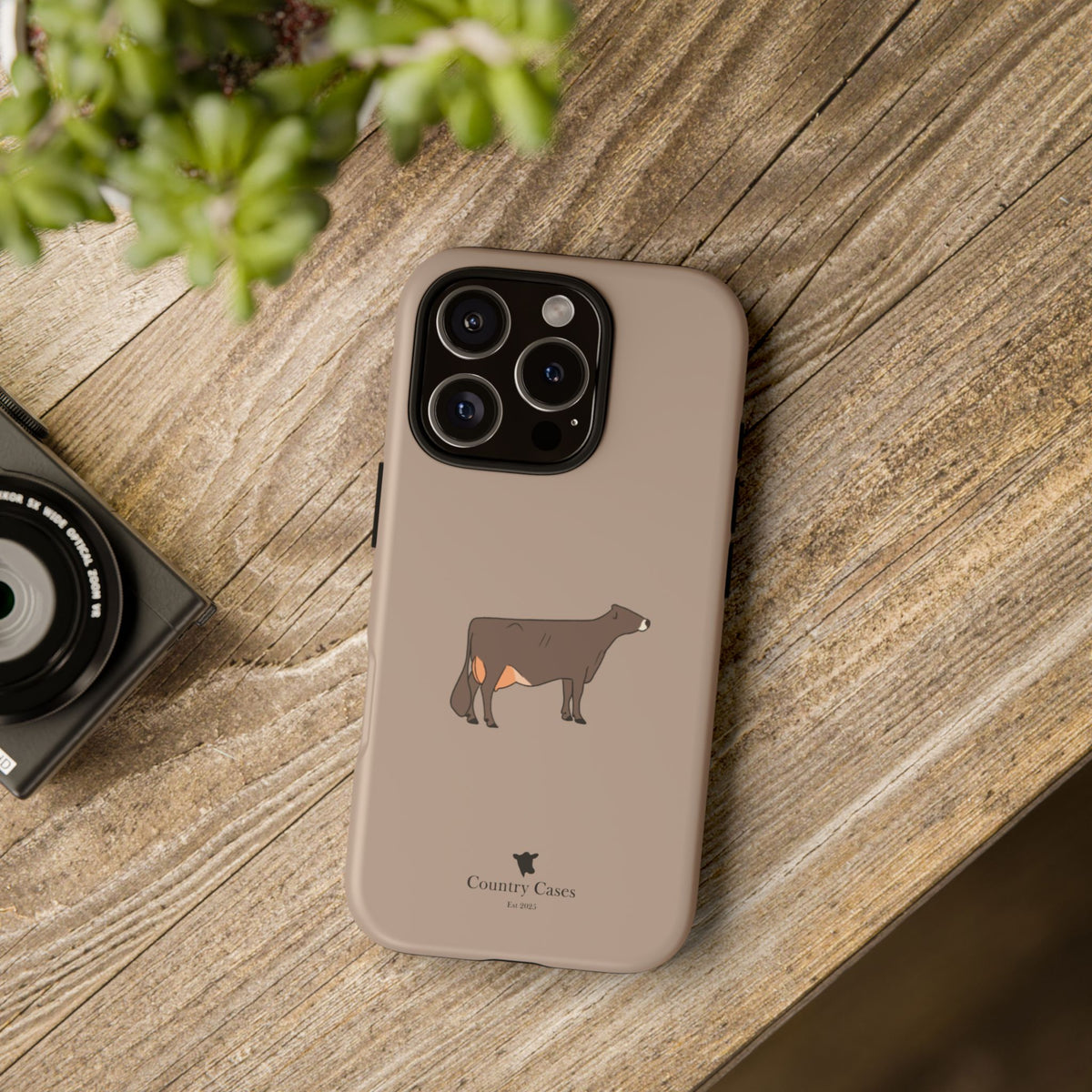 Brown Swiss Case