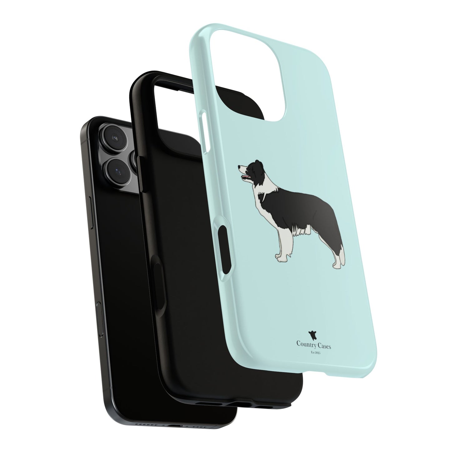 Collie case