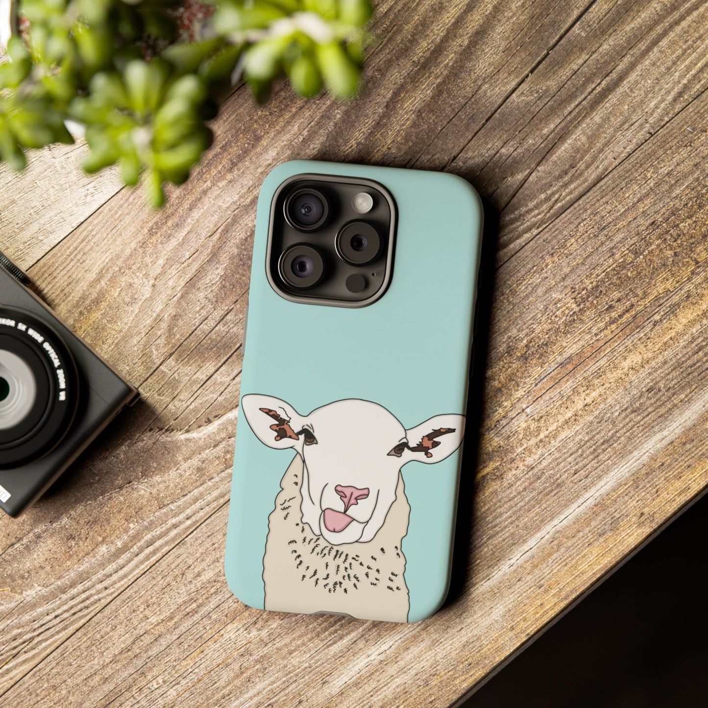Silly sheep case