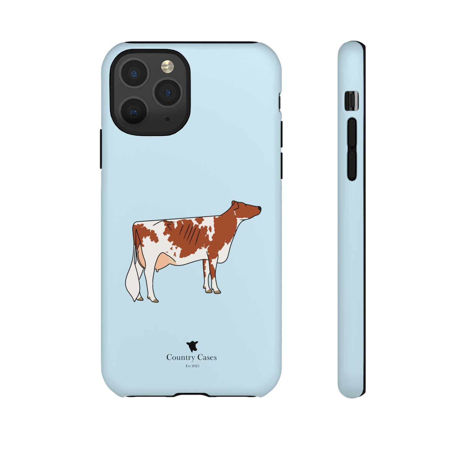 Ayrshire Case