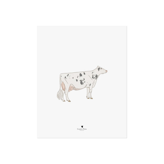 Holstein art print