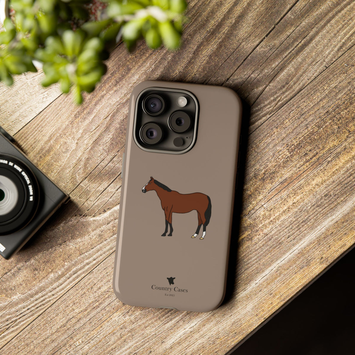 Bay Horse Case