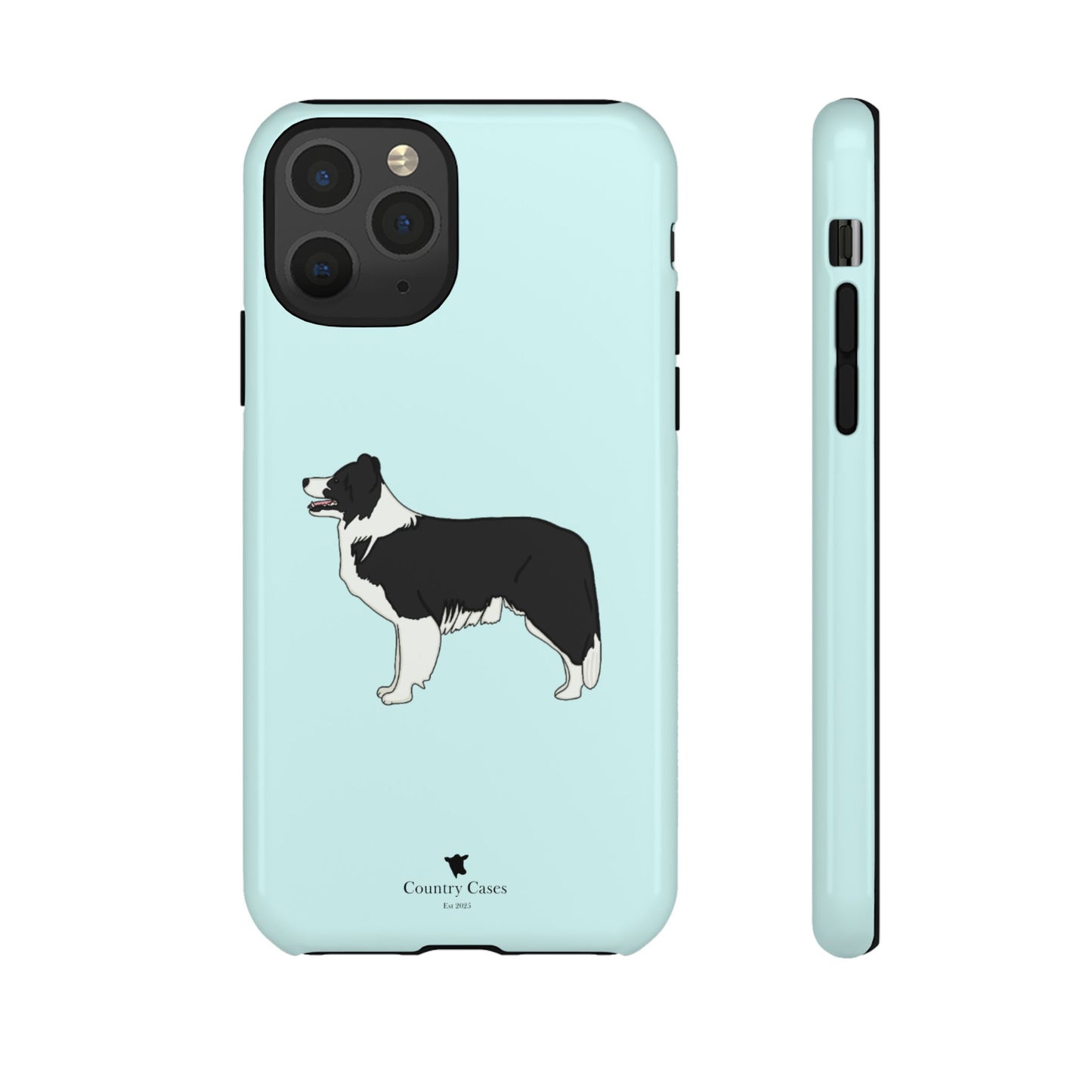 Collie case