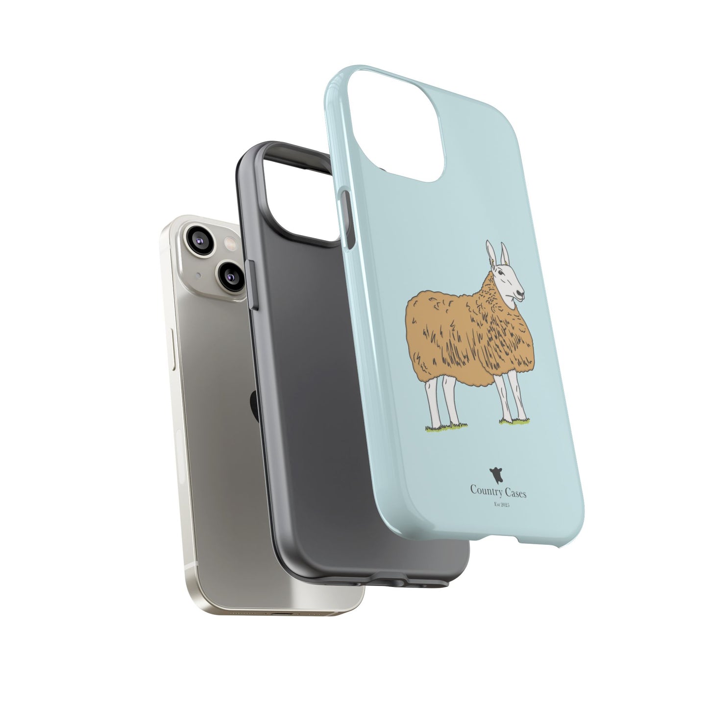 Border Leicester case