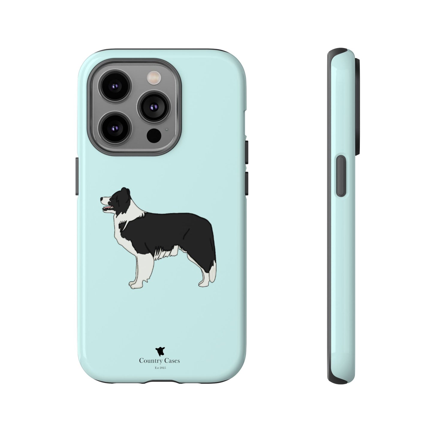 Collie case