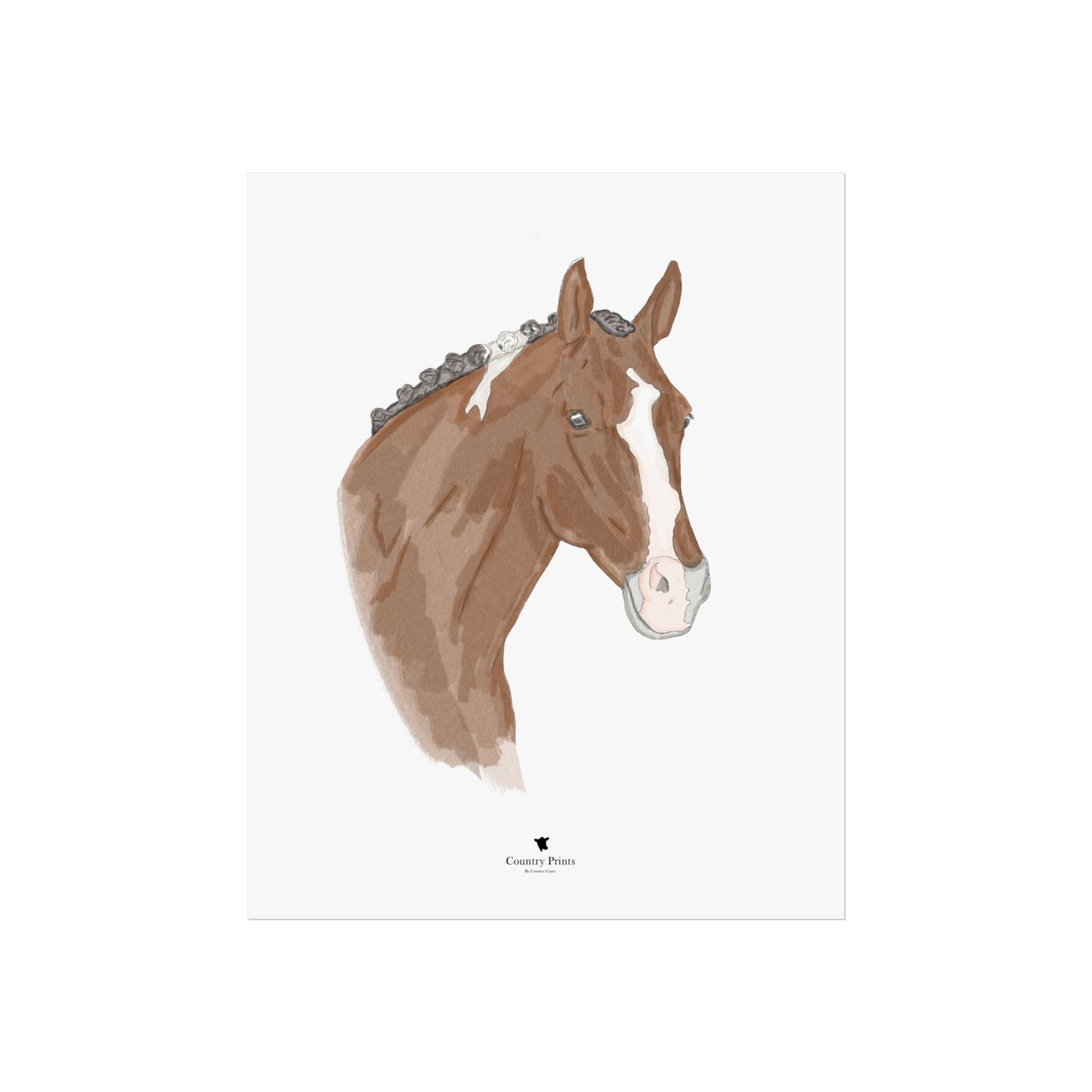 Piebald horse art print