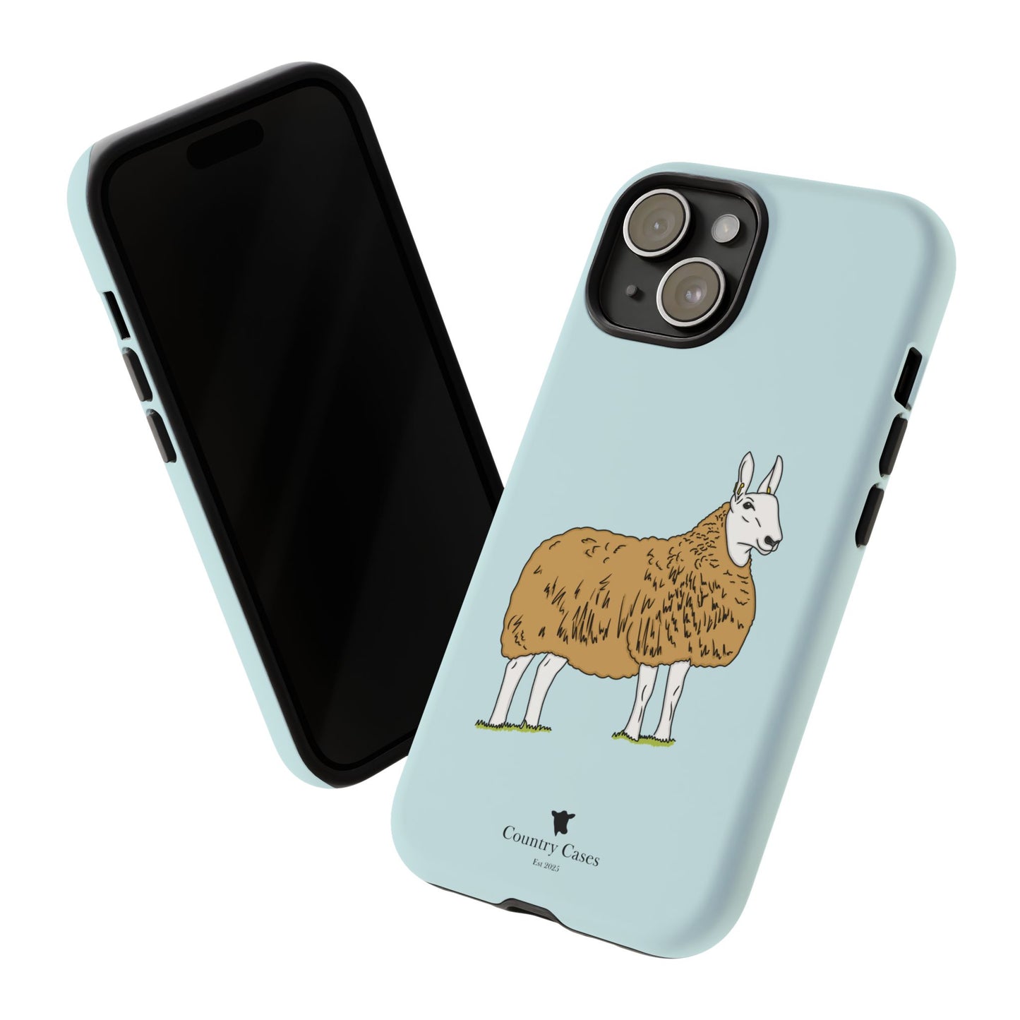 Border Leicester case