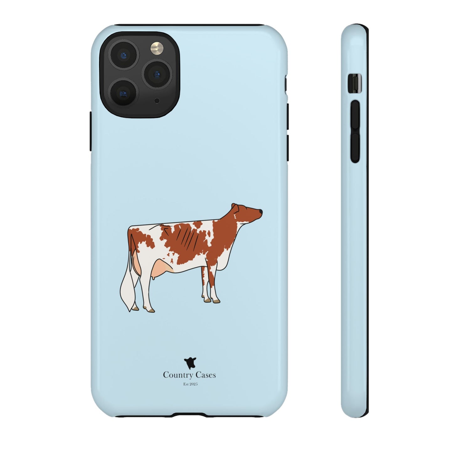 Ayrshire Case