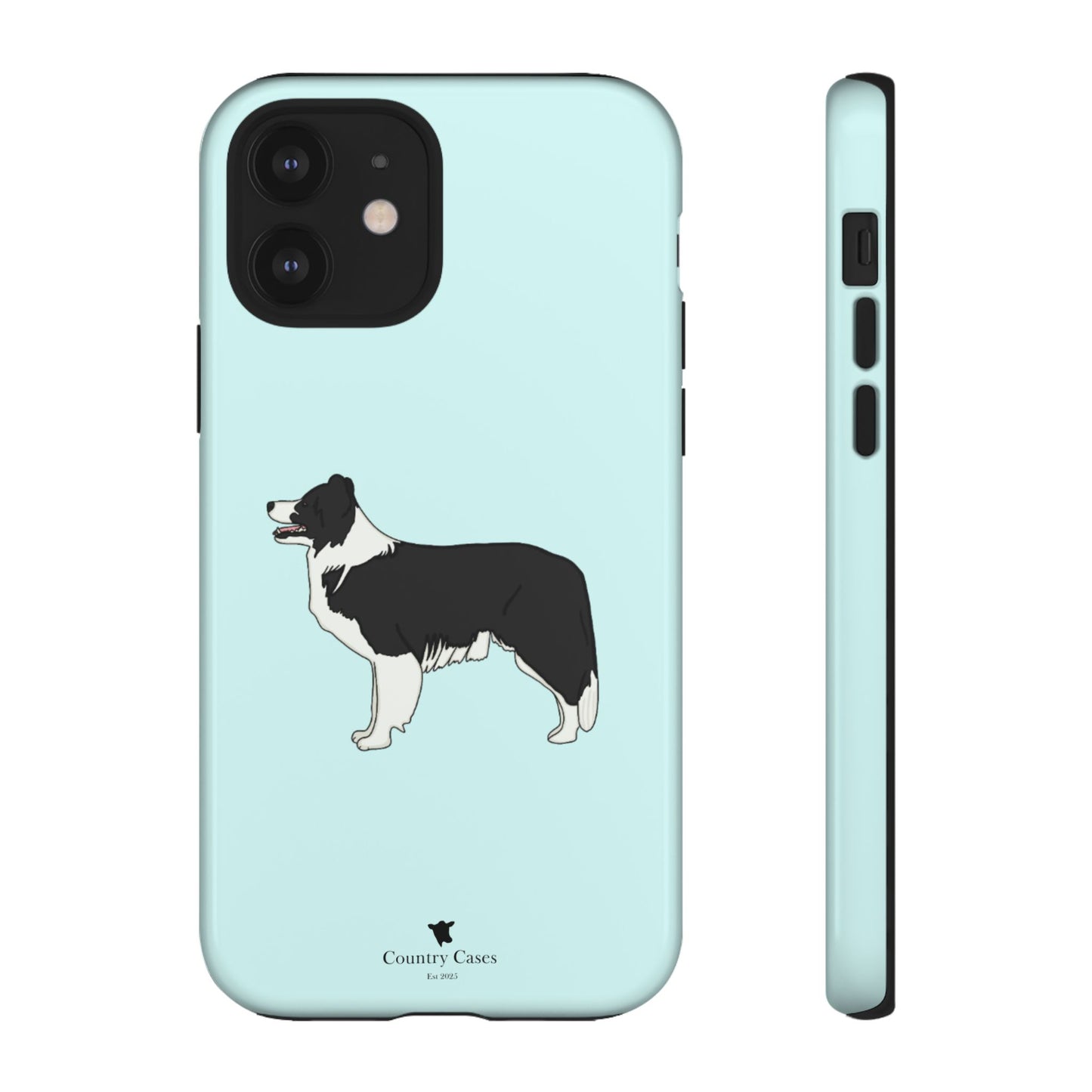 Collie case