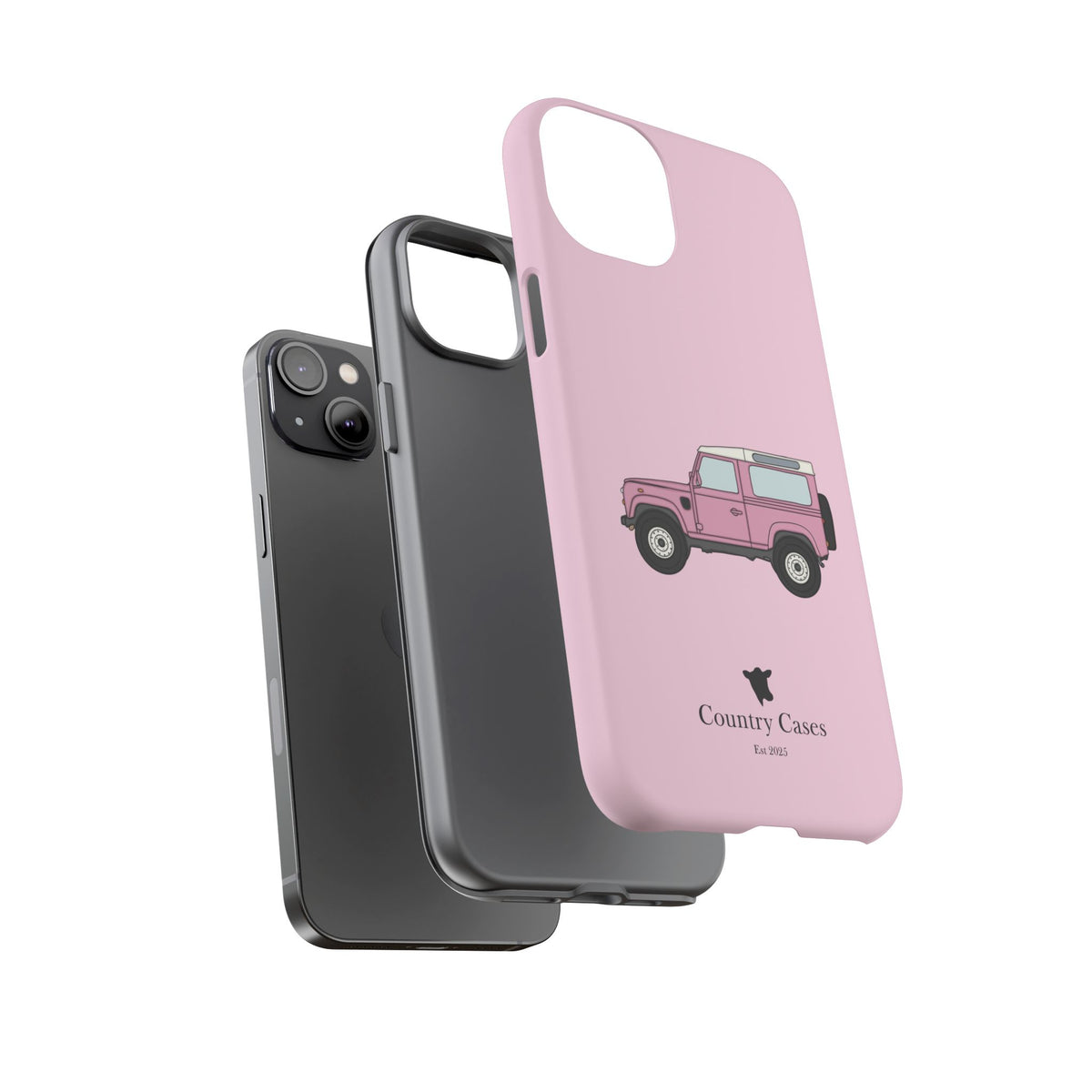 Pink Landy 2.0 case