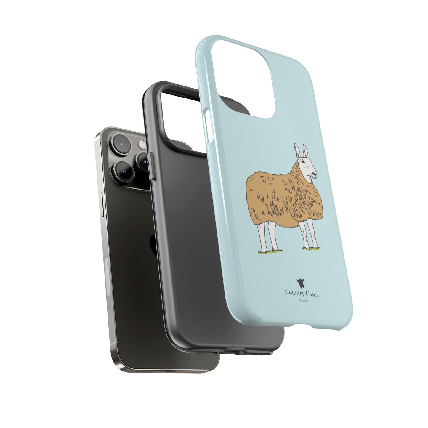Border Leicester case