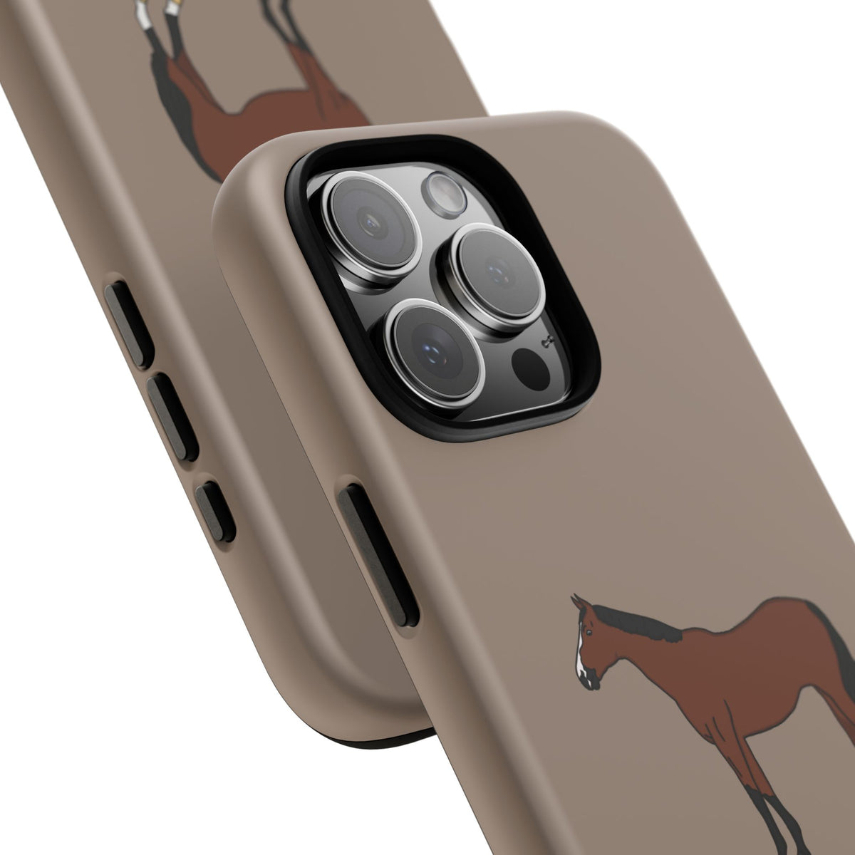 Bay Horse Case
