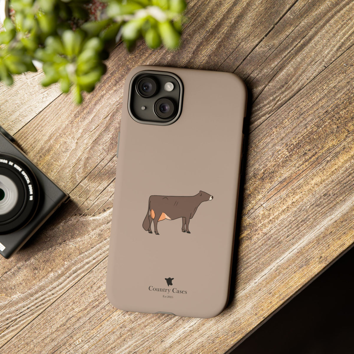 Brown Swiss Case