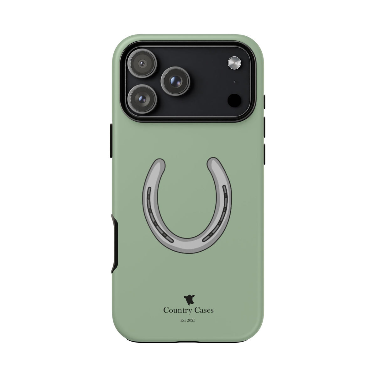 Horse Shoe Case