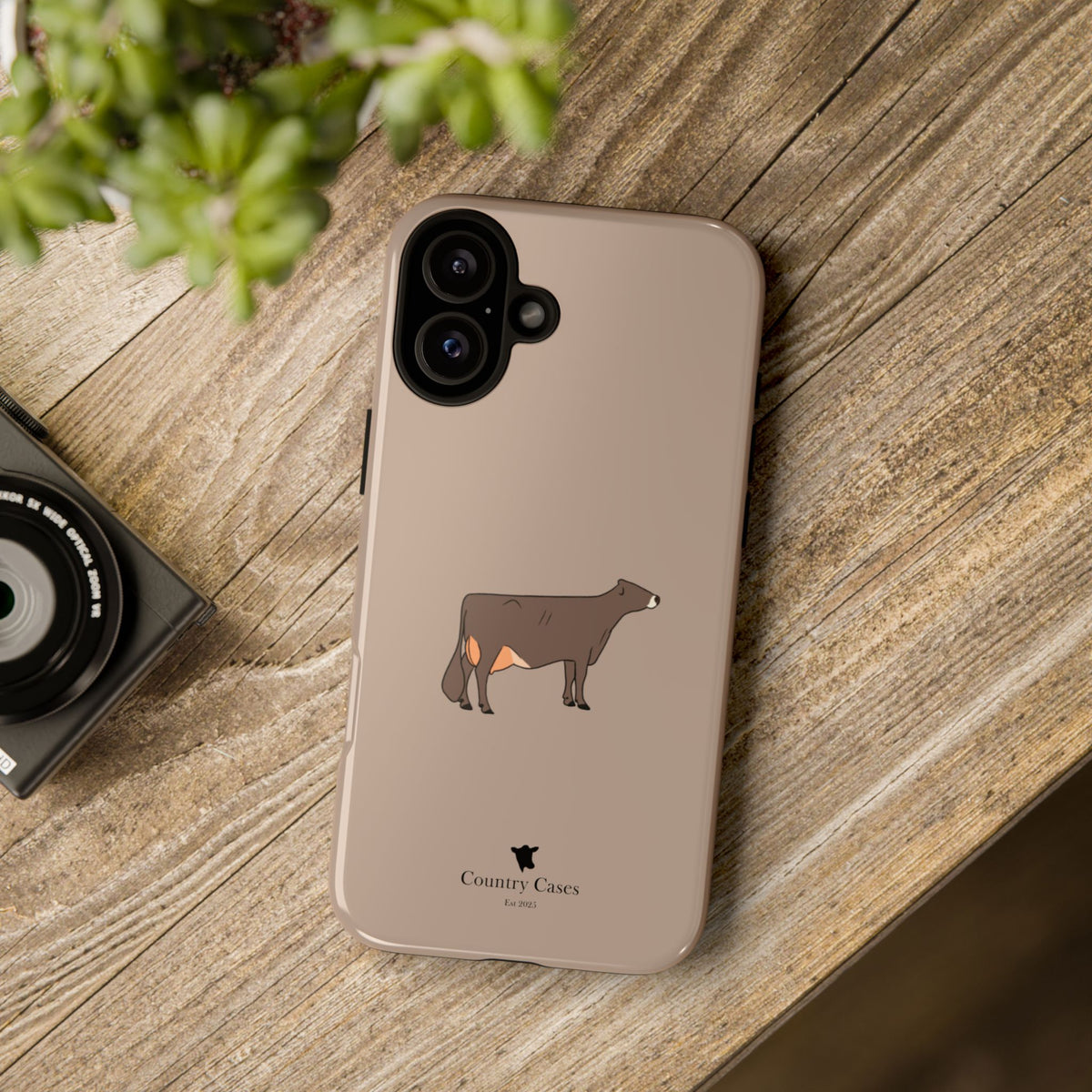 Brown Swiss Case