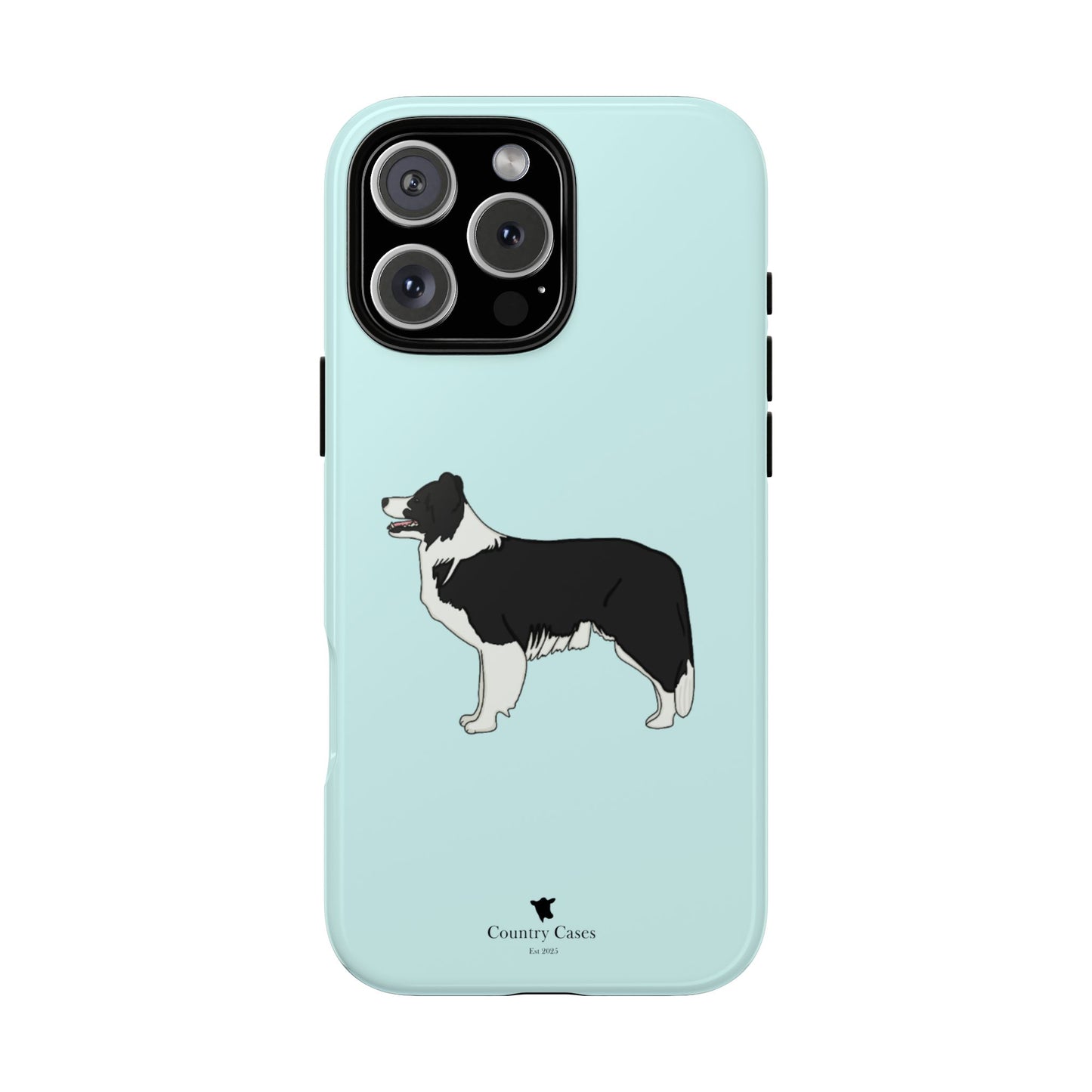 Collie case