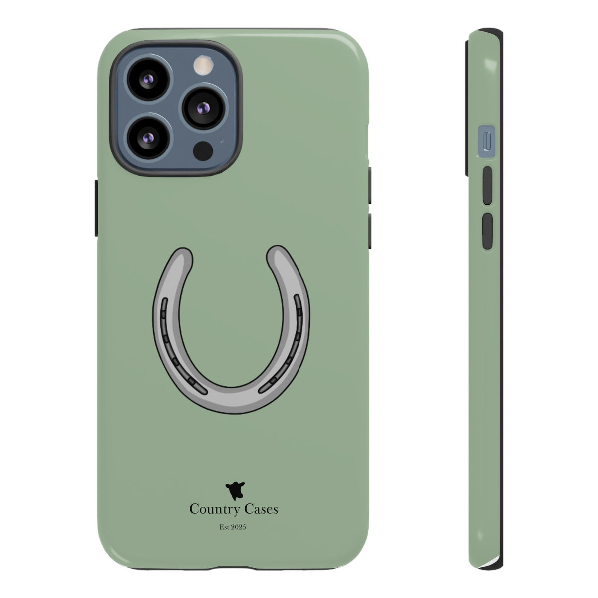 Horse Shoe Case