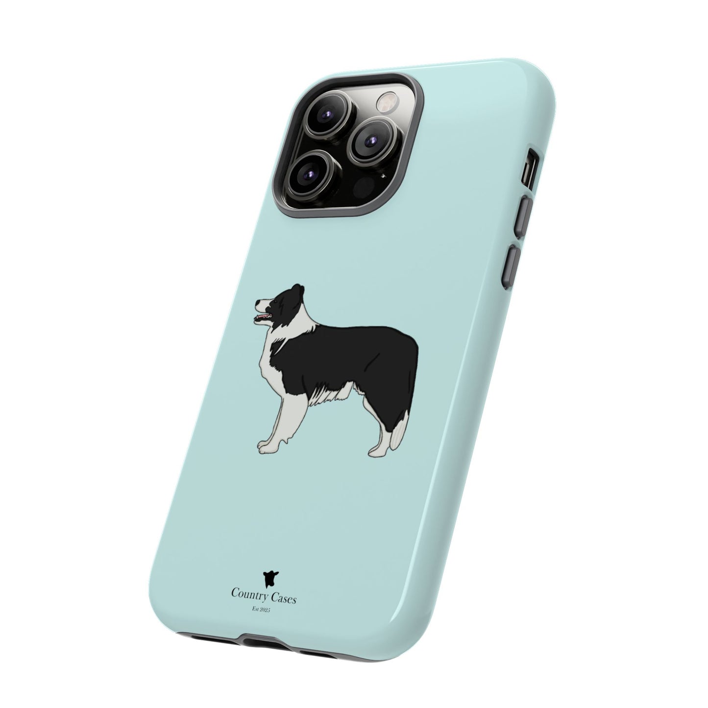 Collie case