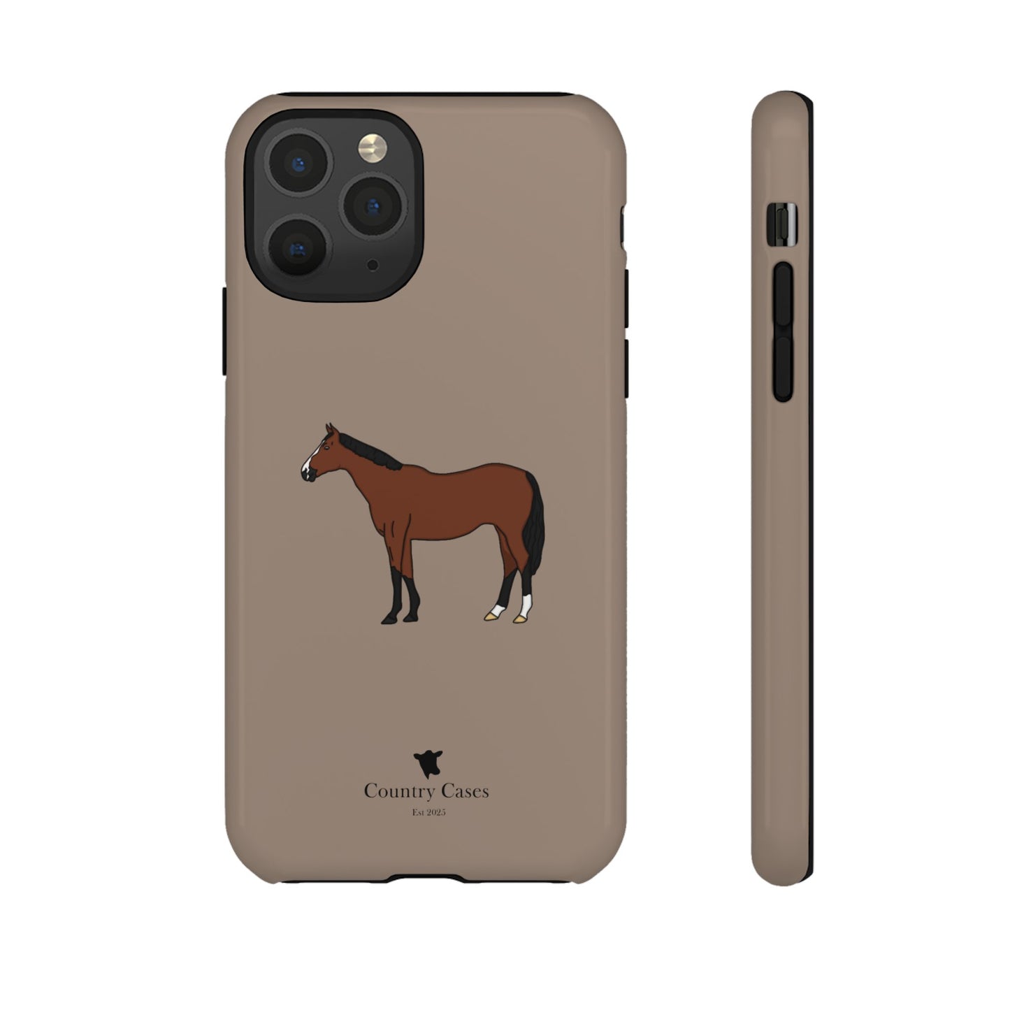 Bay horse case