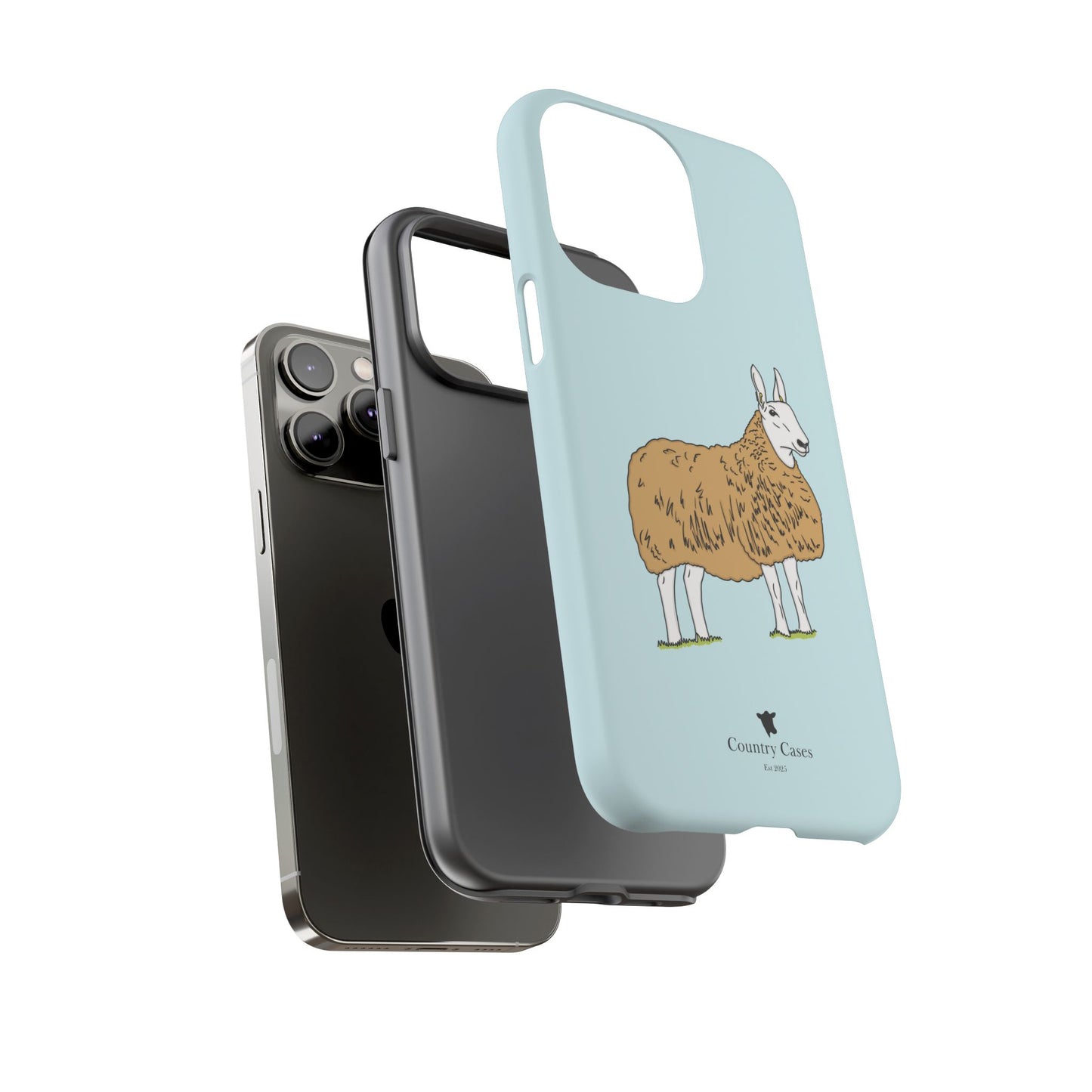 Border Leicester case