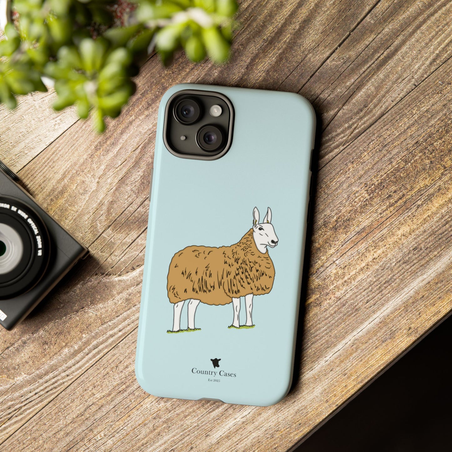 Border Leicester case