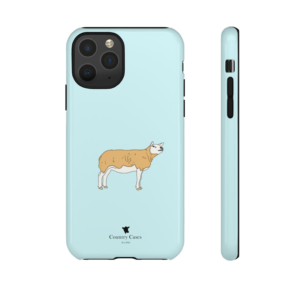 Texal Case