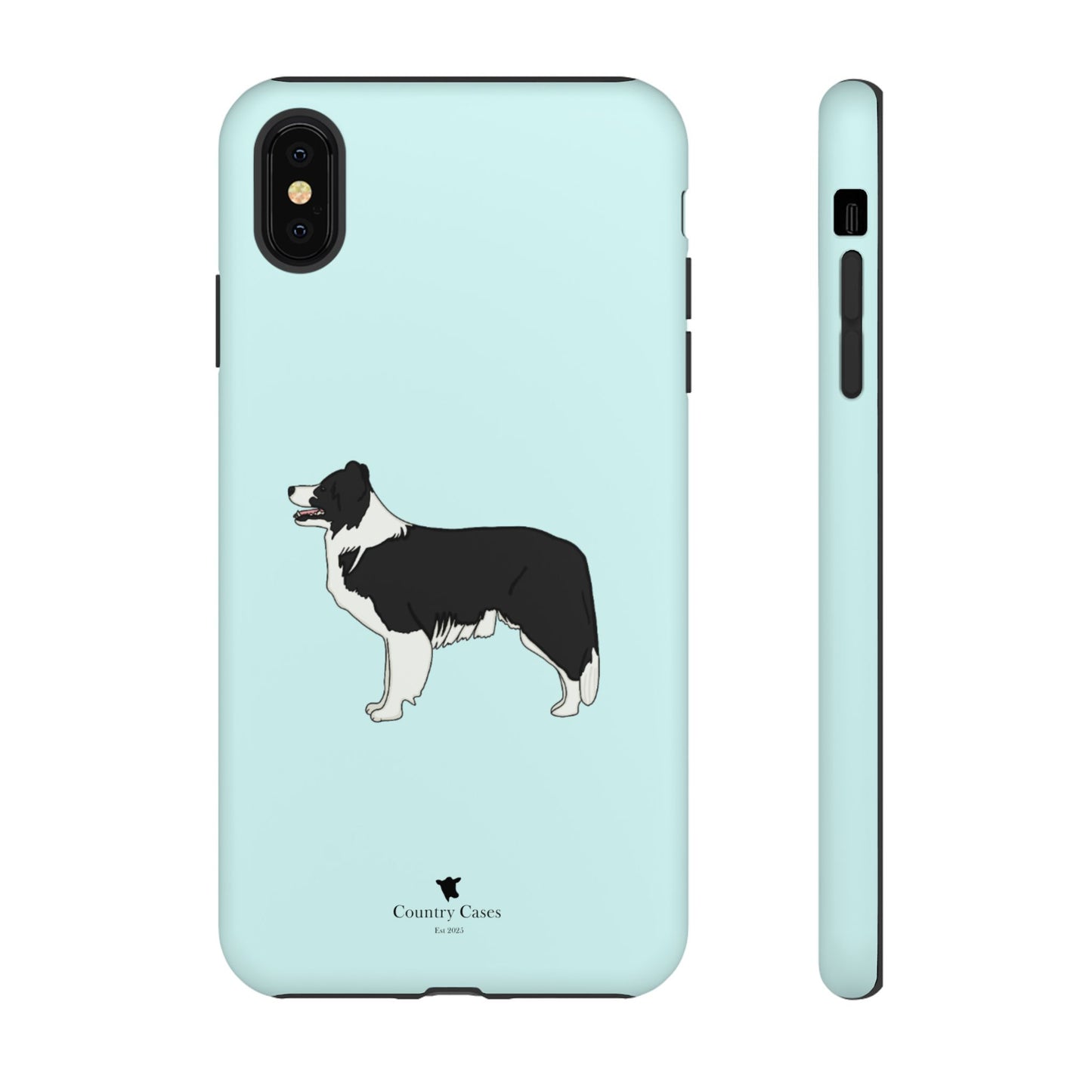 Collie case
