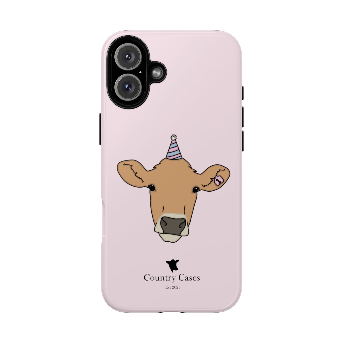 Pink Birthday Case