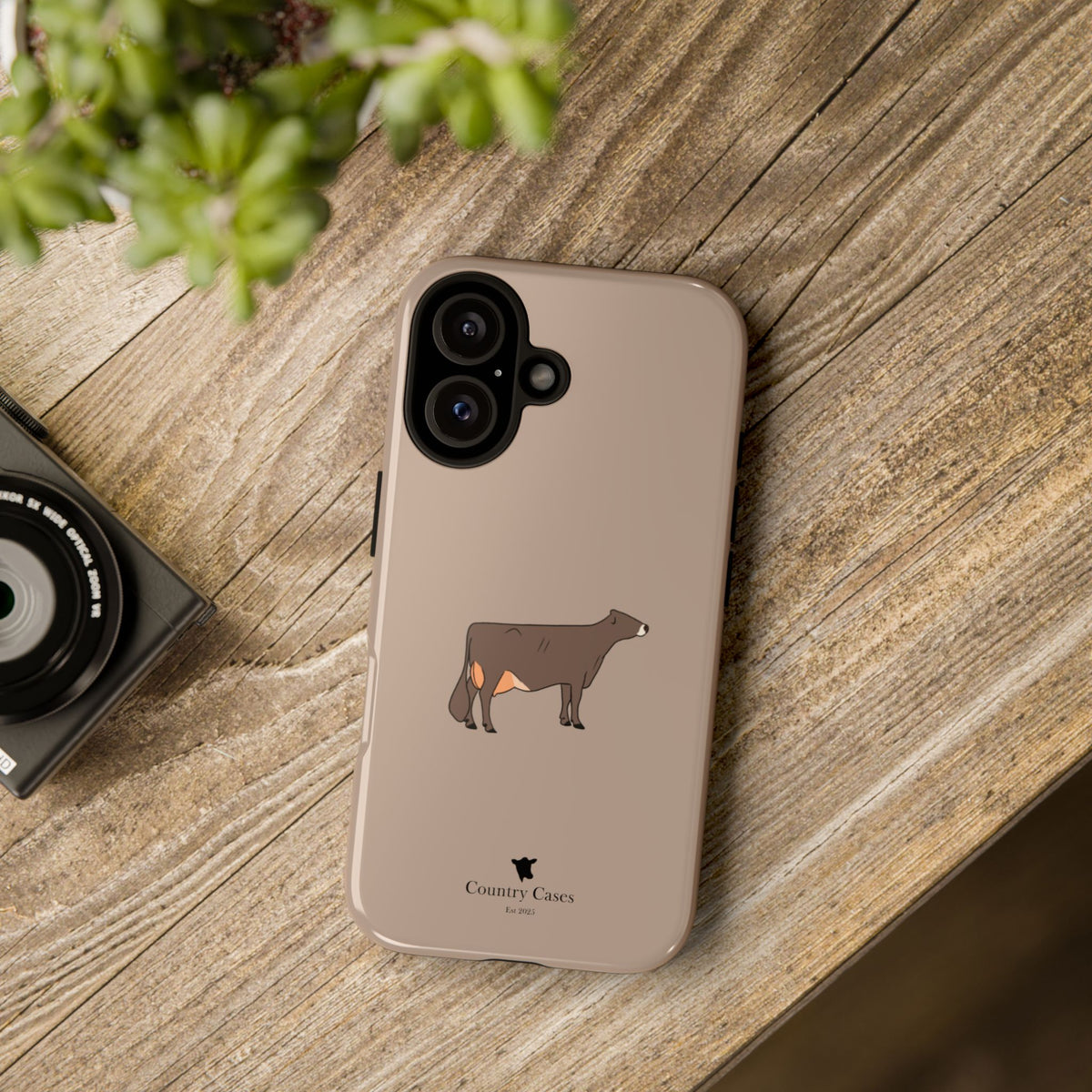 Brown Swiss Case