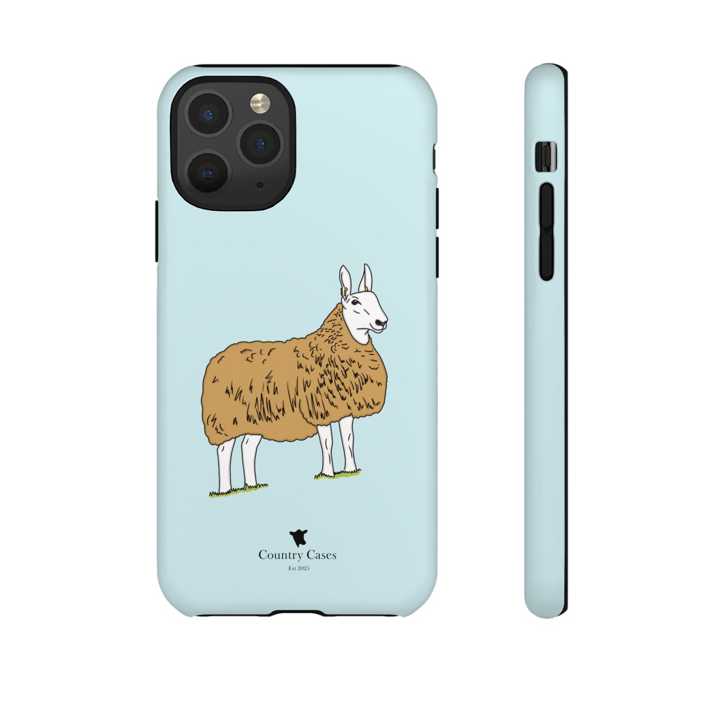 Border Leicester case