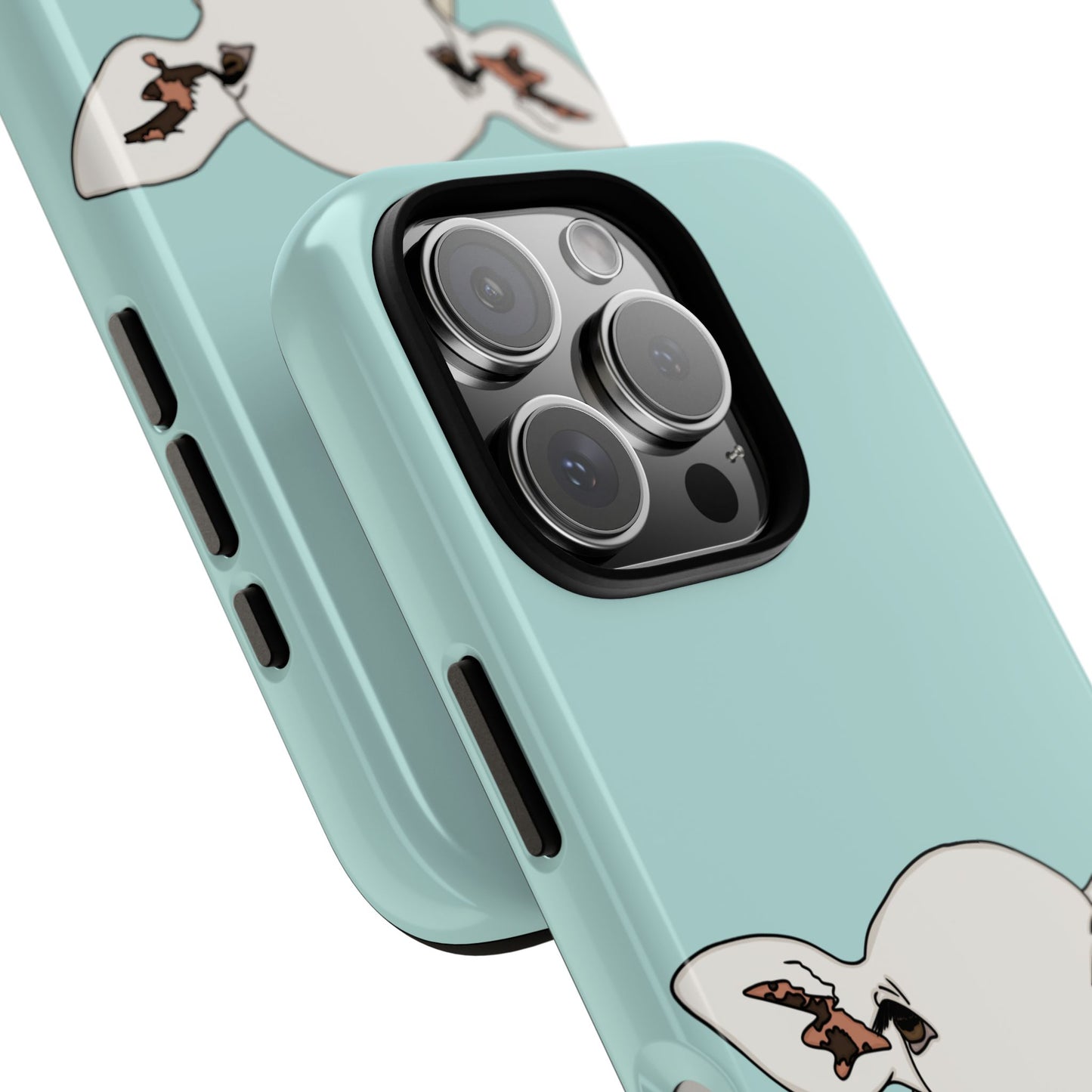 Silly sheep case