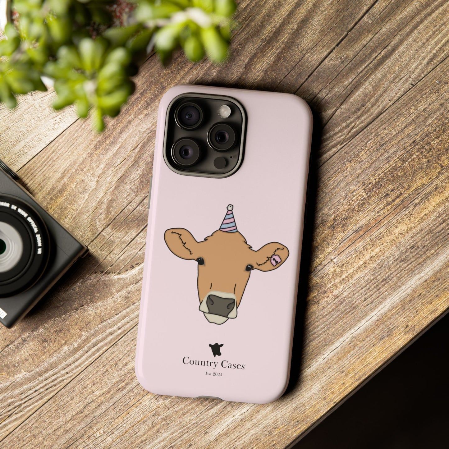 Pink Birthday Case