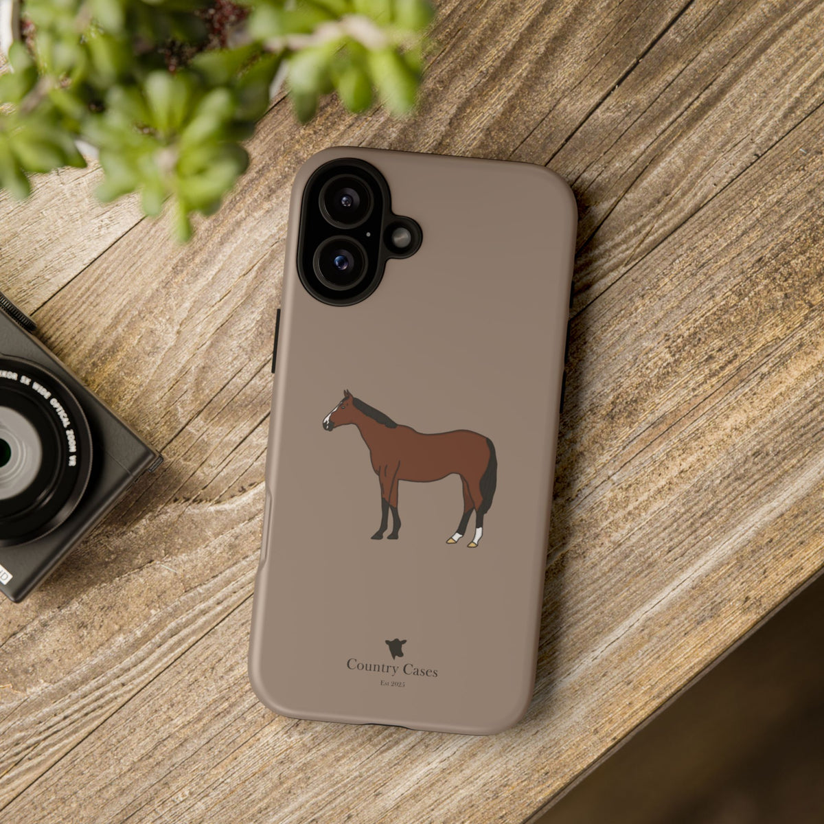 Bay Horse Case