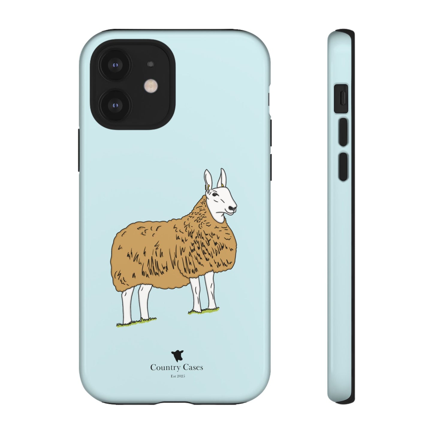 Border Leicester case