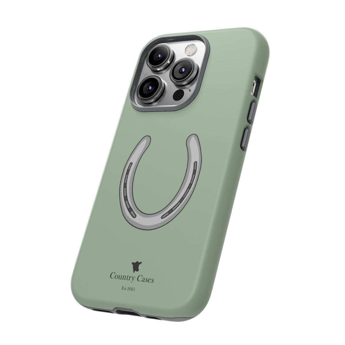 Horse Shoe Case