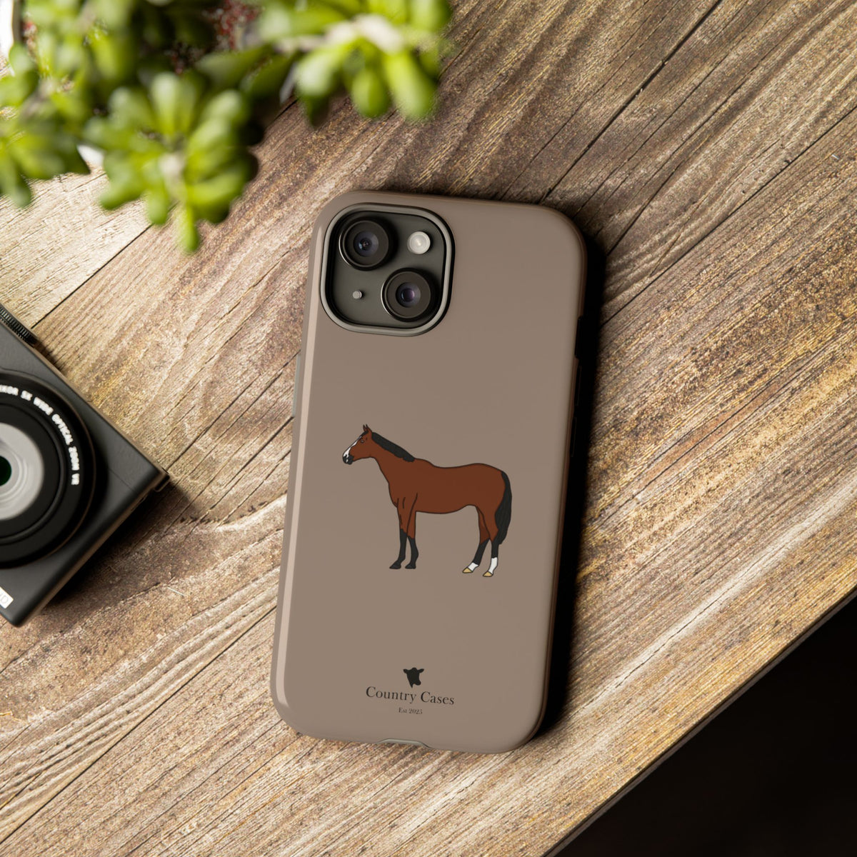 Bay Horse Case