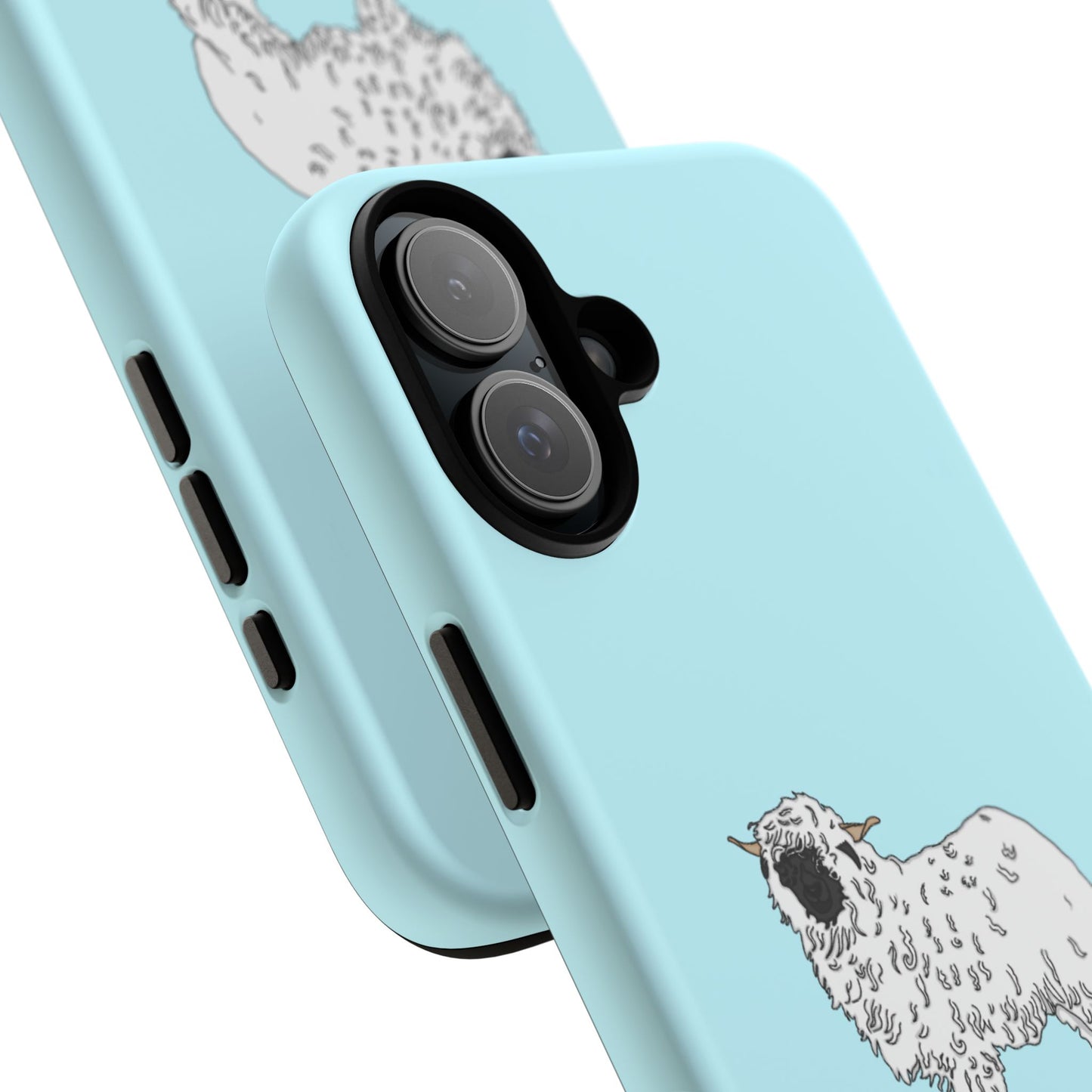 Valias blacknose sheep case