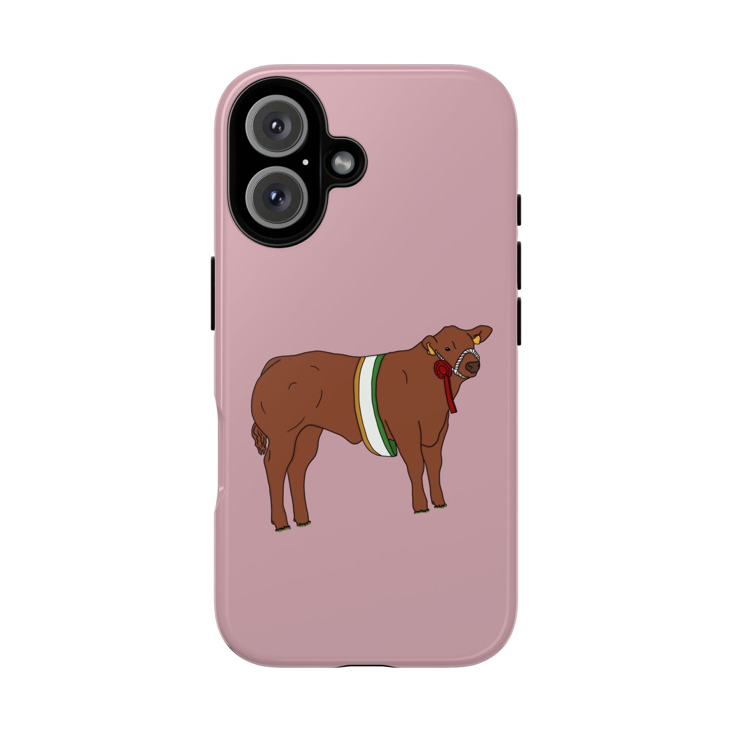 Saoirse Custom Case